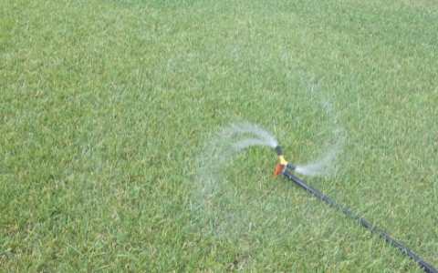 Considerations while watering