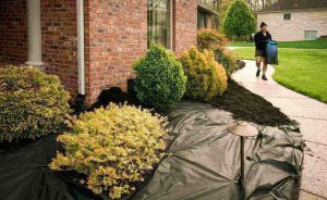 Does Rubber Mulch Attract Bugs