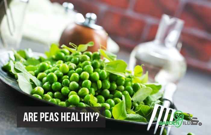 cooked peas seeds on a plate 