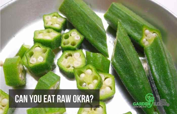  raw okra on a plate
