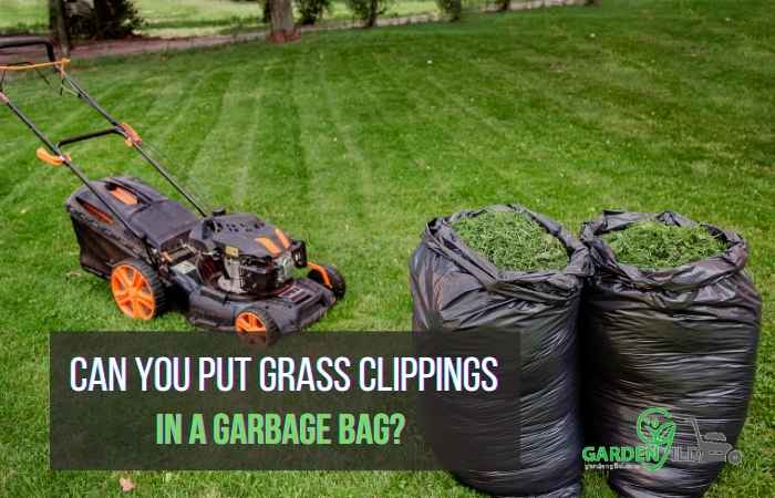  put grass clippings in a black garbage bag