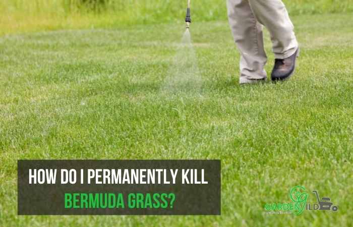 How do I permanently kill Bermuda grass?