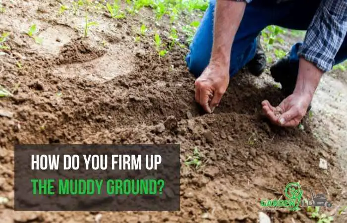 How do you firm up the muddy ground?