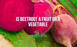 Is Beetroot Fruit