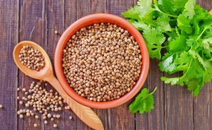 Is coriander a vegetable?