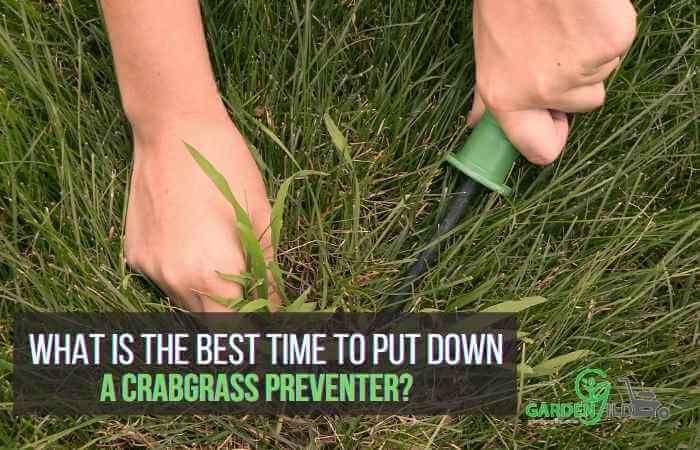 What is the best time to put down a crabgrass preventer?
