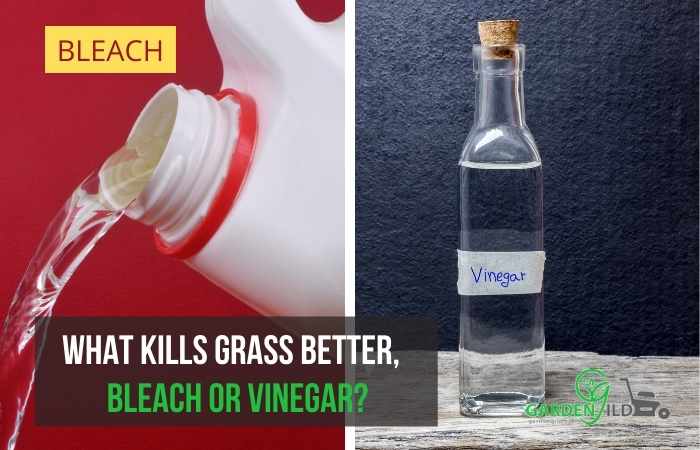 What kills grass better, bleach or vinegar?