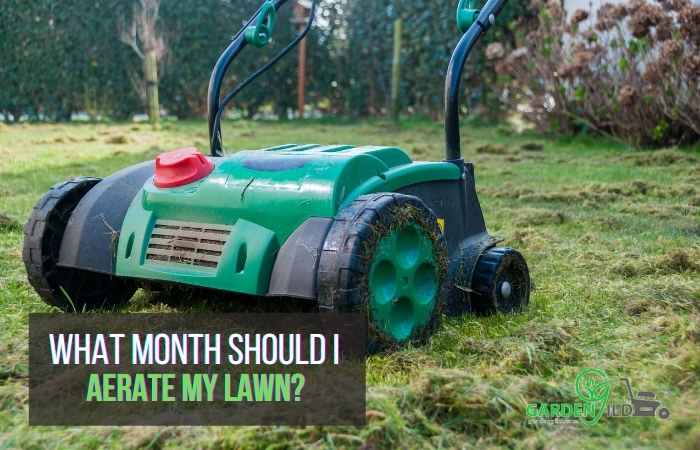 What month should I aerate my lawn?