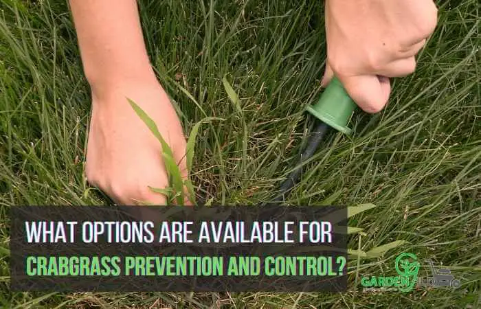 What options are available for Crabgrass prevention and control?