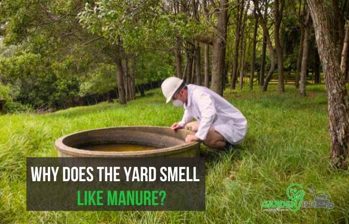 Why does the yard smell like manure?