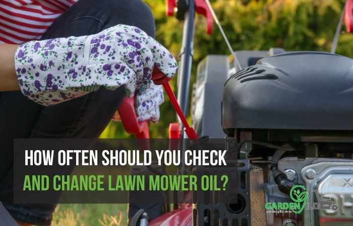 How often should you check and change lawn mower oil?