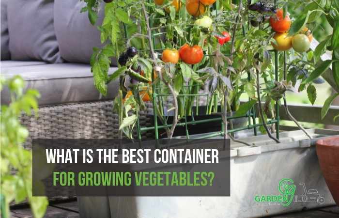 What is the best container for growing vegetables?