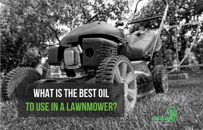 What is the best oil to use in a lawnmower?
