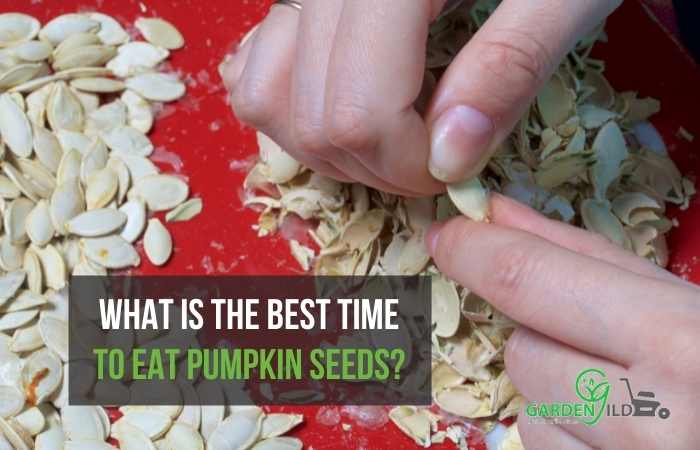 What is the best time to eat pumpkin seeds?