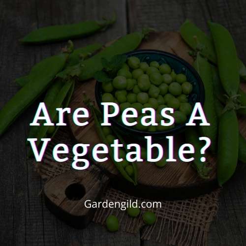 Are peas a vegetable thumbnails