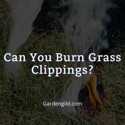 Can you burn grass clippings thumbnails
