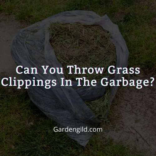 Can you throw grass clippings in the garbage thumbnails