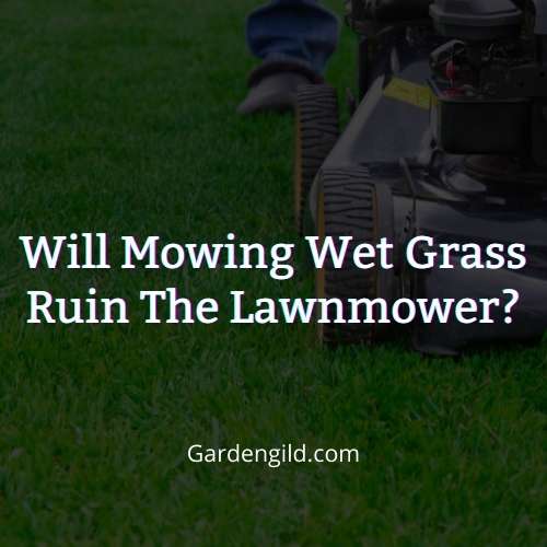 Will mowing wet grass ruin the lawnmower thumbnails