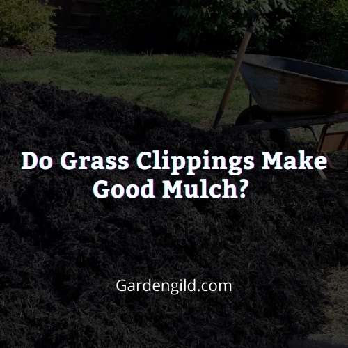 Do grass clippings make good mulch thumbnails