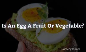 Is an Egg a Fruit or Vegetable