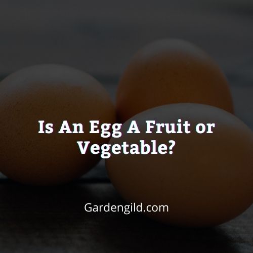 Is an Egg a Fruit or Vegetable Thumbnails
