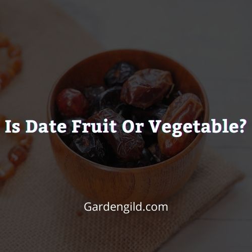 Is date fruit or vegetable thumbnails