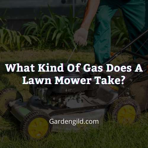 What kind of gas does a lawn mower take thumbnails