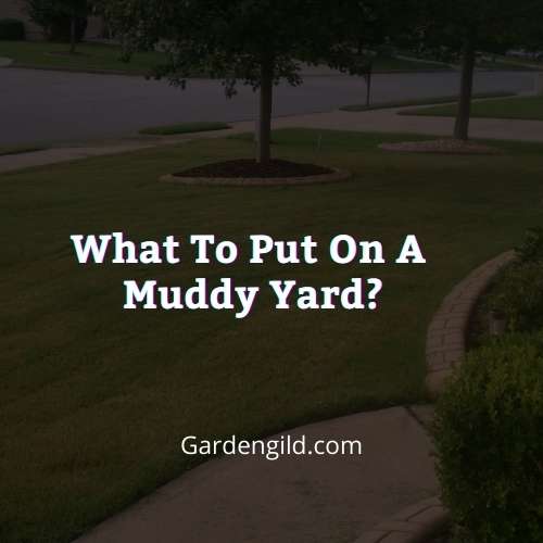 What to put on a muddy yard thumbnails