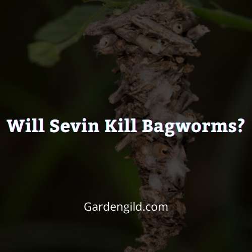 Will Sevin kill Bagworms thumbnails