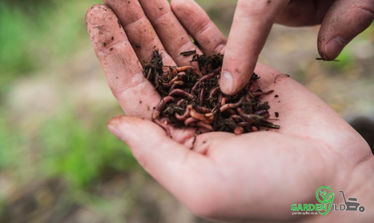 What pesticide kills earthworms?