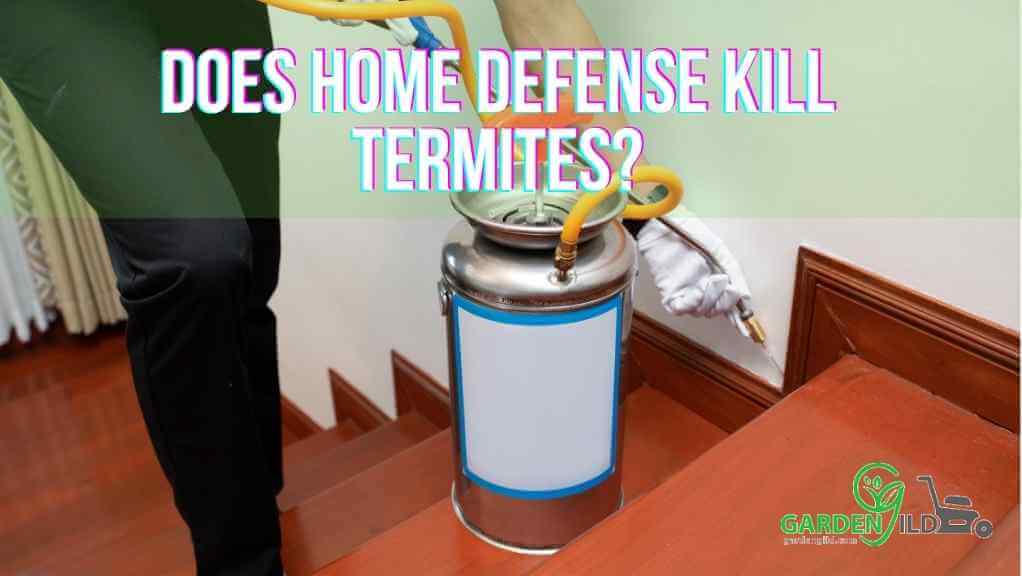 Does Home Defense Kill Termites
