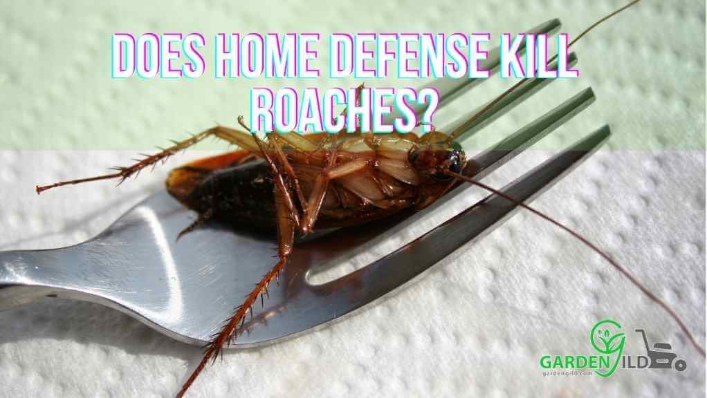 Does Home Defense kill roaches
