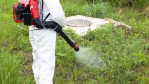 Does Roundup weed killer have a shelf life