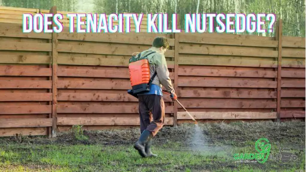 Does Tenacity Kill Nutsedge