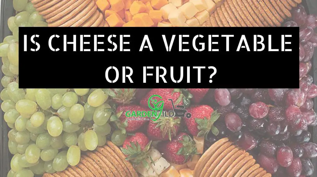Is Cheese a Vegetable or fruit