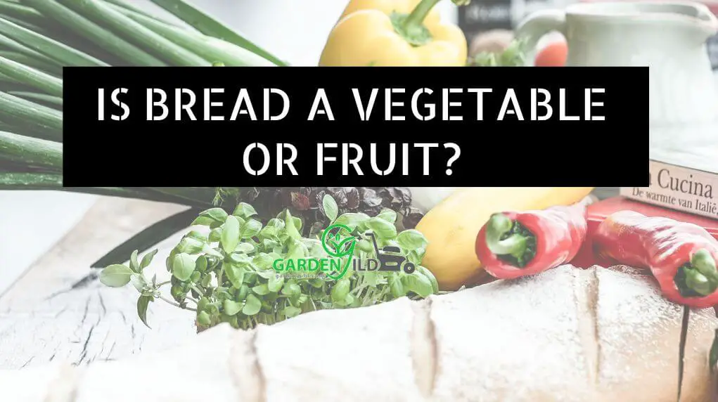 Is bread a vegetable or fruit