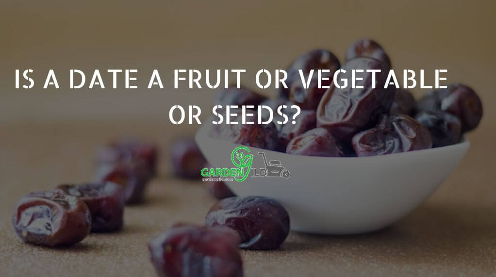 is a date a fruit or vegetable or seeds